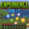 Experience Skills