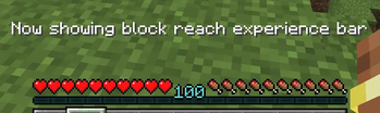 Block Reach Experience Bar