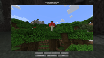 View screenshots in-game!