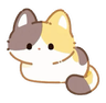 obeycat