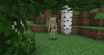 new variant of skeleton