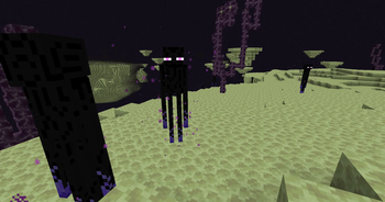 void enderman