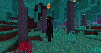 warped enderman