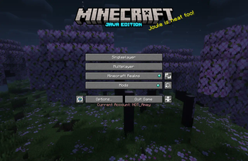 This Is How It Looks After Texture Pack
