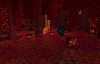 Portal in the nether