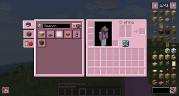 Inventory (Survival)