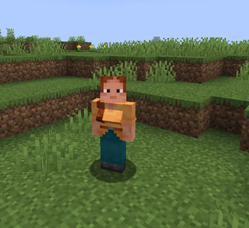 Riya's Female Gender Model — screenshot 2
