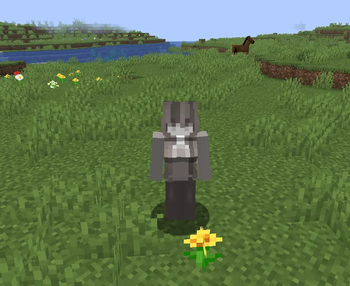 Riya's Female Gender Model — screenshot 3