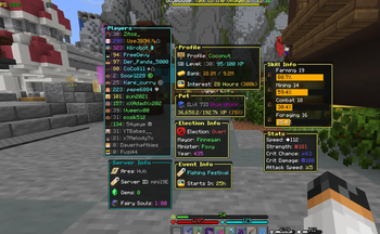 Optimized Hypixel SkyBlock