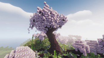 cherry blossom tree