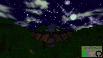Wings and night sky