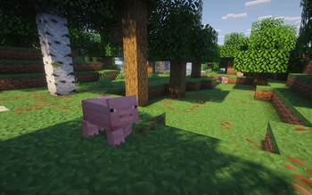 Forest wildlife