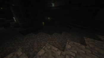 A creeper in a cave