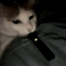 despalr