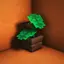 Pot Leaves