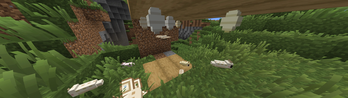 cacons and worms
