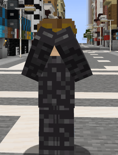 Armour Suit
