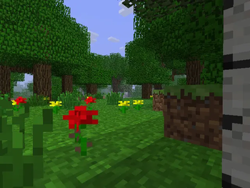 forest