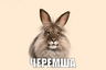mttoxxlol