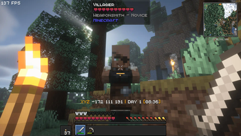 Talk to a villager