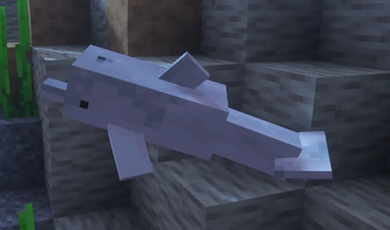 More Dolphin Variants — screenshot 2