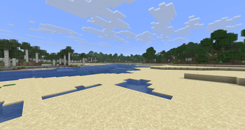 Coastal Sandbar