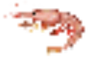 srimp
