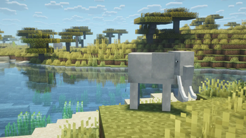 Elephant