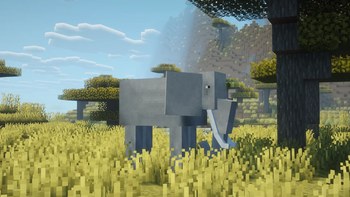 Elephant