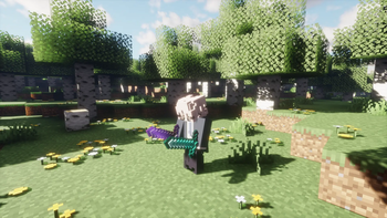Third-person View