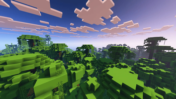 Shader
