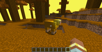 The Golden Sheep