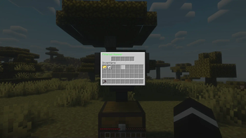 🖥️ Visual Interface