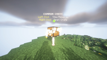 Preview of crate
