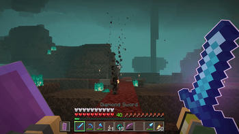 Nether