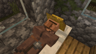 Sleeping villager
