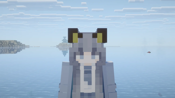 Cat ears helmet