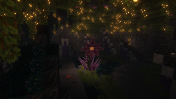 A Boss Fight