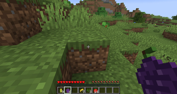 Grapes and other fruits in the mod.