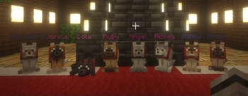 All Wolf Variants - Tamed and Named