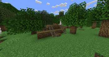 Enhanced Wilderness