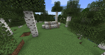 Enhanced Wilderness