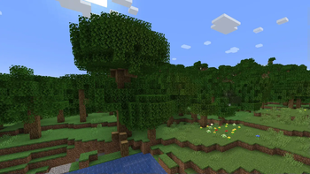 Enhanced Wilderness