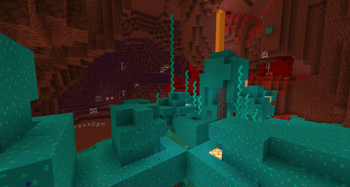 nether 1