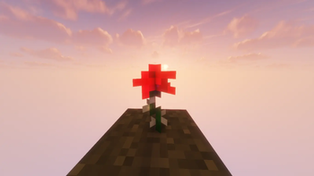 Rose on grass