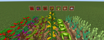 Crops