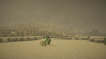 Visual Effects