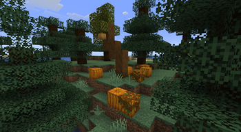 Gourdrot Tree