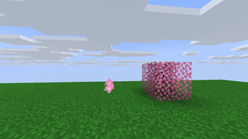 Demo