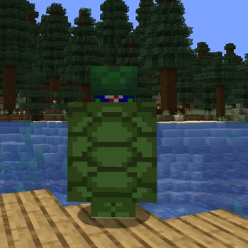 Turtle armor back view 1